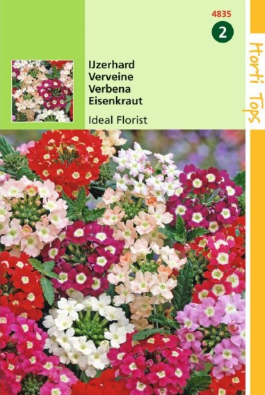 IJzerhard Ideal Florist mix - Verbena